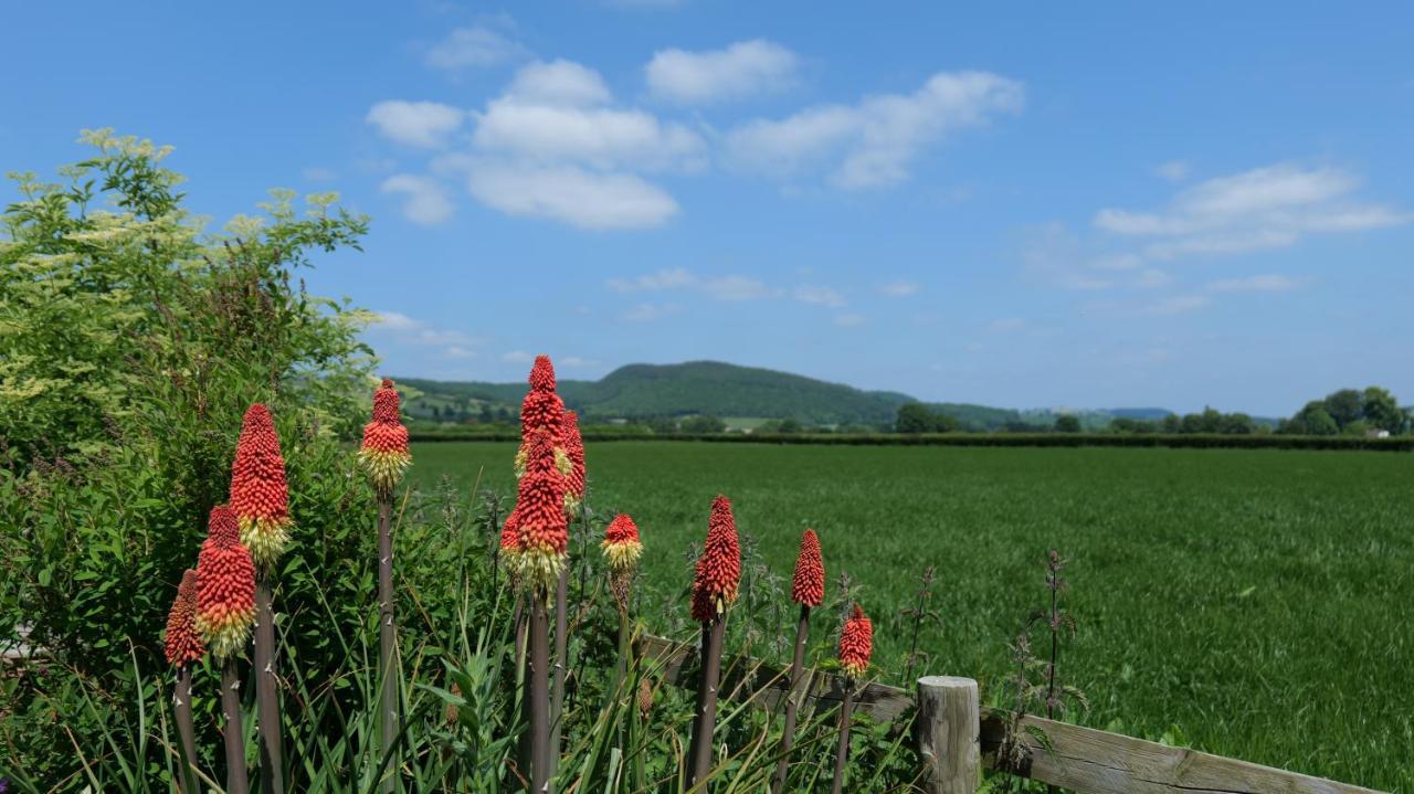 Country Cottage With Far Reaching Views Presteigne Esterno foto