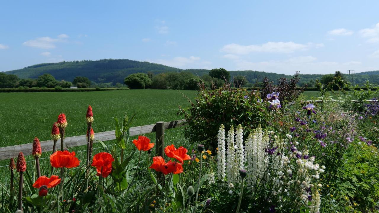 Country Cottage With Far Reaching Views Presteigne Esterno foto